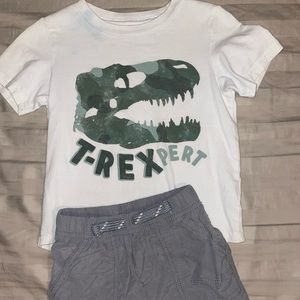 3T T-shirt & Short Bundle